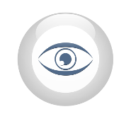 Digital Surveillance human eye